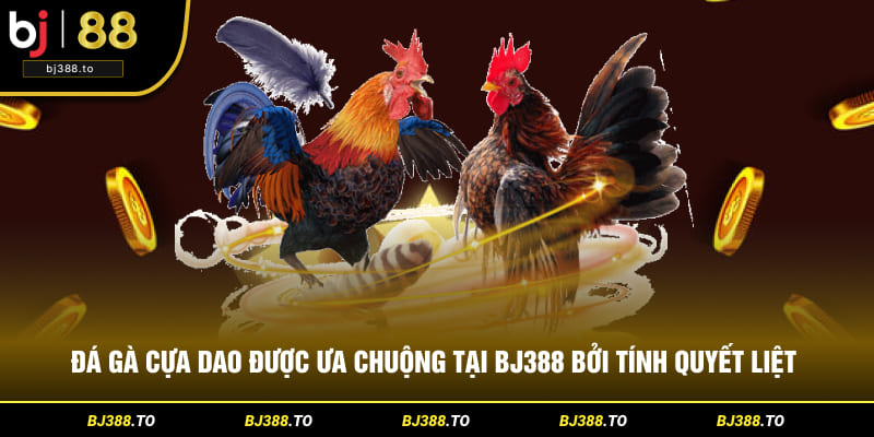 da-ga-cua-dao-bj388