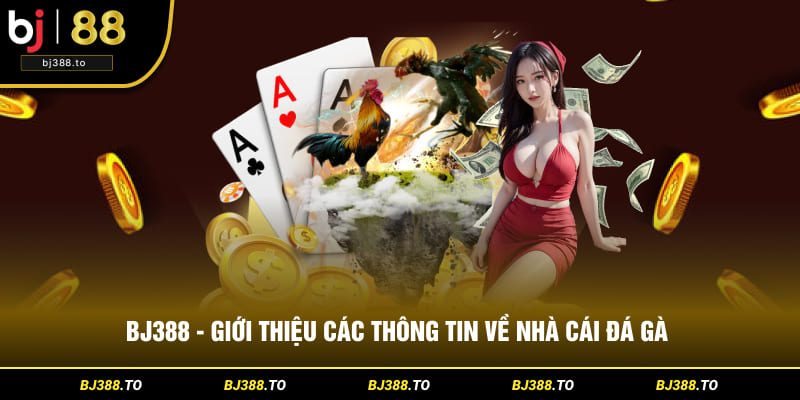 gioi-thieu-ve-bj388