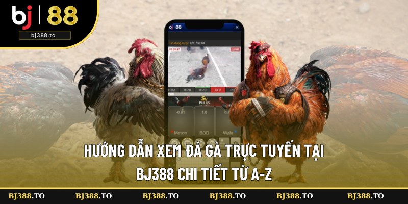 Hướng Dẫn Xem Đá Gà Trực Tuyến Tại BJ388 Chi Tiết Từ A-Z