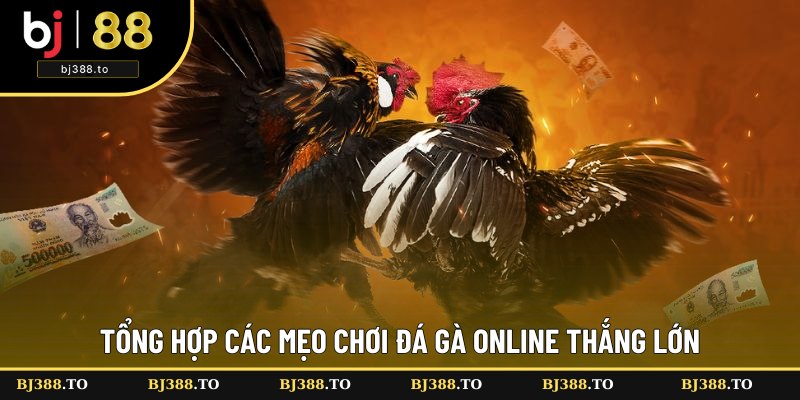 Bật mí mẹo cược đá gà trực tuyến hiệu quả Bật mí mẹo cược đá gà trực tuyến hiệu quả